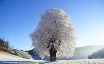 Co grozi nauczycielowi za łamanie praw ucznia?